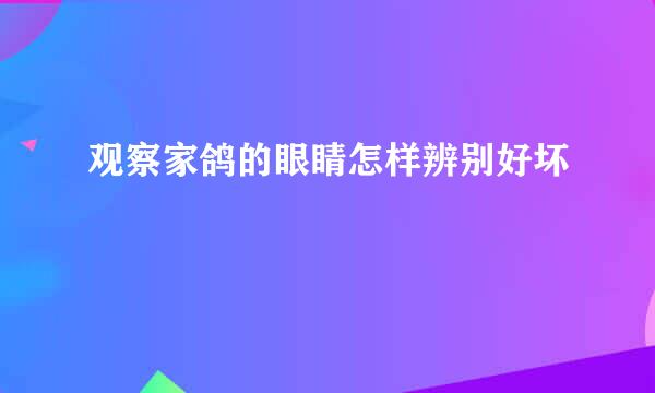 观察家鸽的眼睛怎样辨别好坏