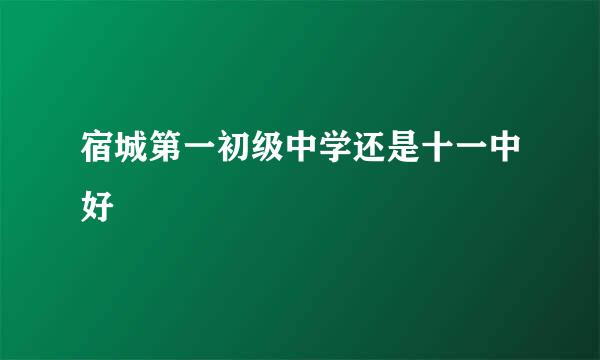 宿城第一初级中学还是十一中好