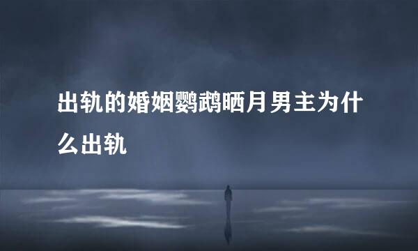 出轨的婚姻鹦鹉晒月男主为什么出轨