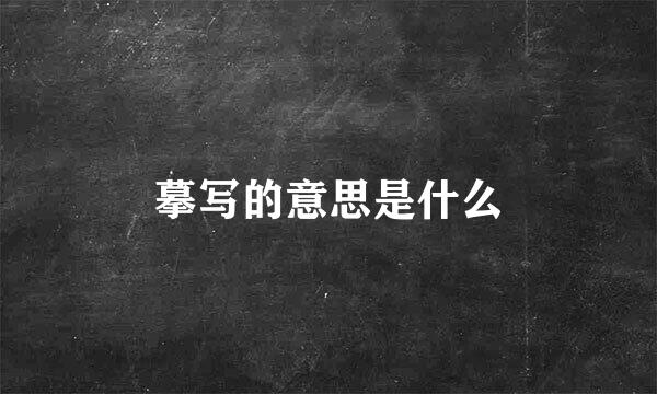 摹写的意思是什么