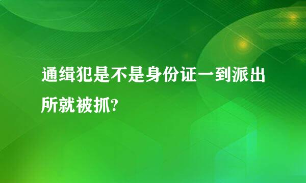 通缉犯是不是身份证一到派出所就被抓?