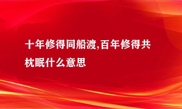 十年修得同船渡,百年修得共枕眠什么意思