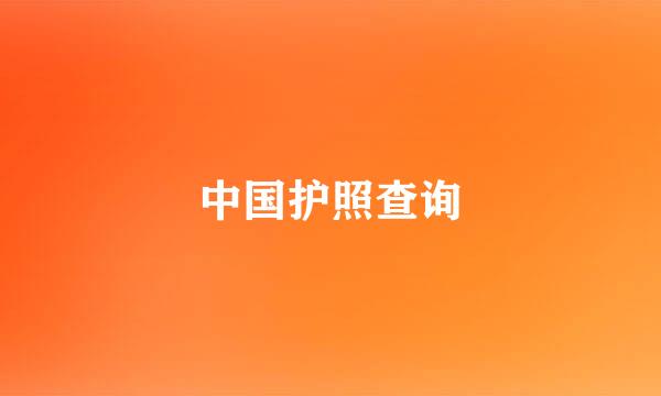 中国护照查询