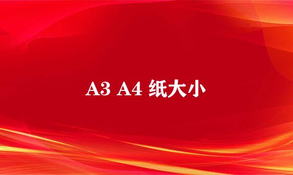 A3 A4 纸大小