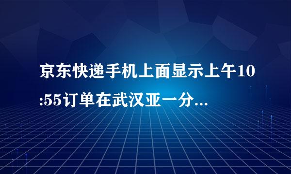 京东快递手机上面显示上午10:55订单在武汉亚一分拣中心发货完成准备送往鄂州凤凰营业部下午能不能到