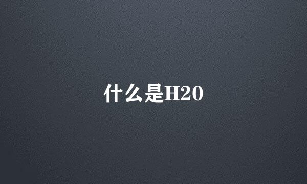 什么是H20