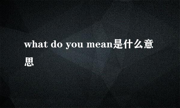 what do you mean是什么意思