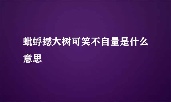 蚍蜉撼大树可笑不自量是什么意思