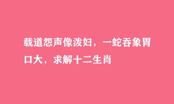 载道怨声像泼妇，一蛇吞象胃口大，求解十二生肖