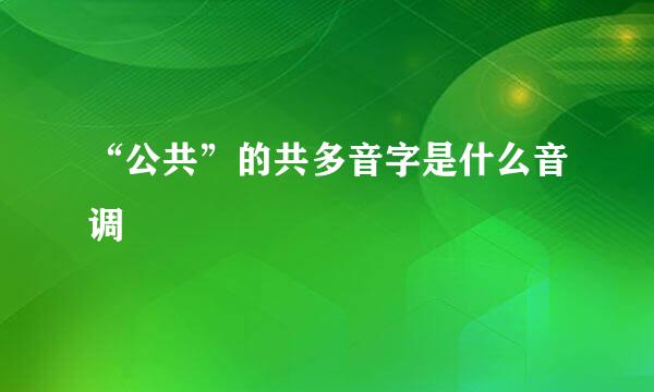 “公共”的共多音字是什么音调