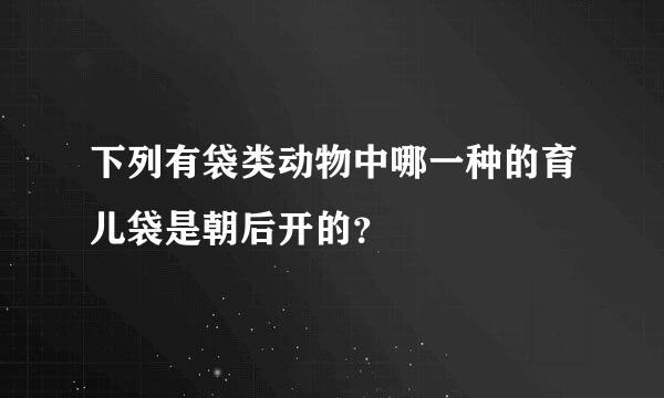 下列有袋类动物中哪一种的育儿袋是朝后开的？