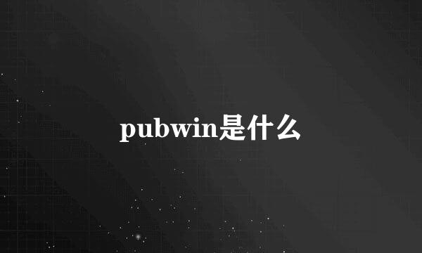 pubwin是什么