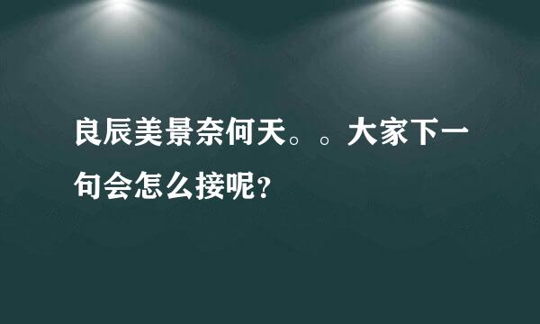 良辰美景奈何天。。大家下一句会怎么接呢？