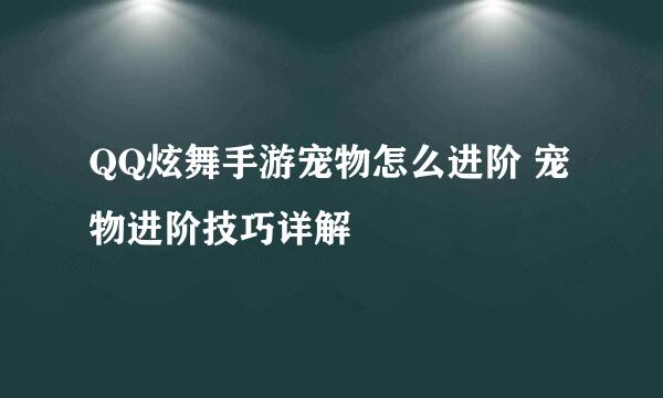 QQ炫舞手游宠物怎么进阶 宠物进阶技巧详解