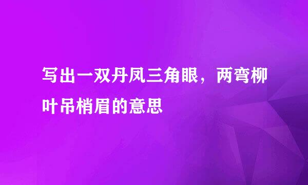 写出一双丹凤三角眼，两弯柳叶吊梢眉的意思