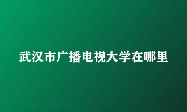 武汉市广播电视大学在哪里