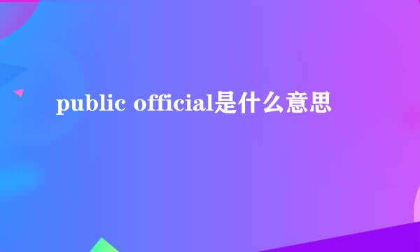 public official是什么意思