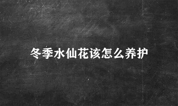 冬季水仙花该怎么养护