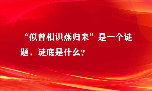 “似曾相识燕归来”是一个谜题，谜底是什么？