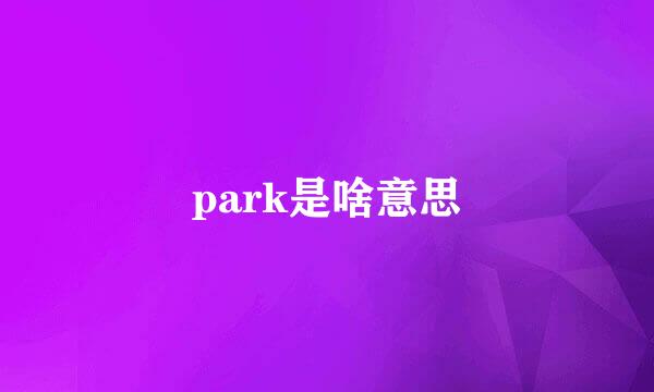 park是啥意思