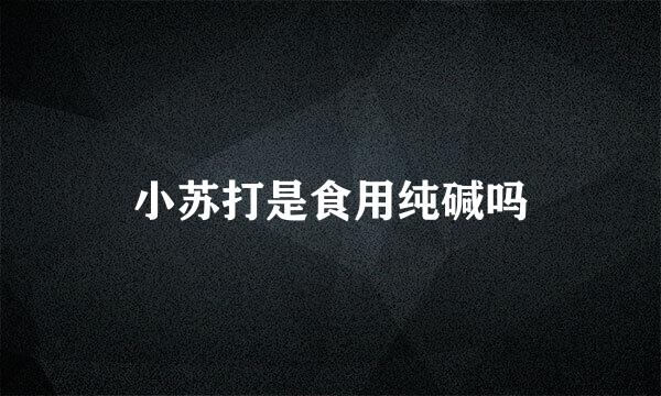 小苏打是食用纯碱吗