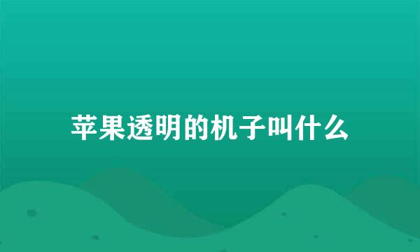 苹果透明的机子叫什么