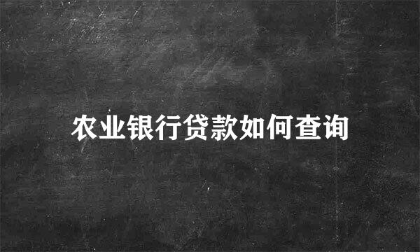 农业银行贷款如何查询