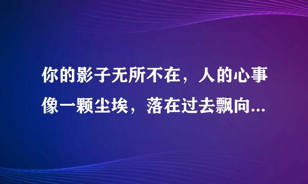 你的影子无所不在，人的心事像一颗尘埃，落在过去飘向未来，掉进眼里就流出泪来。曾经沧海无限感慨，有时