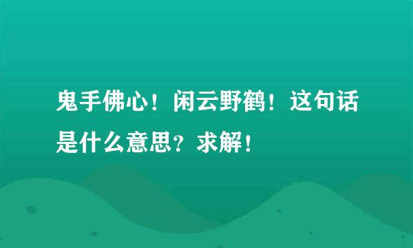 鬼手佛心！闲云野鹤！这句话是什么意思？求解！