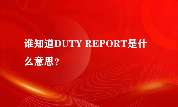 谁知道DUTY REPORT是什么意思？