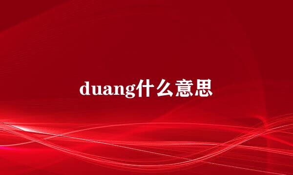 duang什么意思