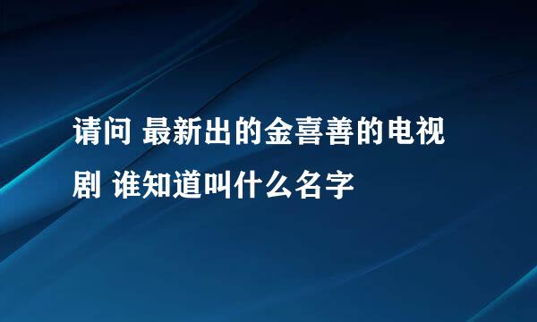 请问 最新出的金喜善的电视剧 谁知道叫什么名字