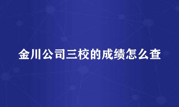 金川公司三校的成绩怎么查