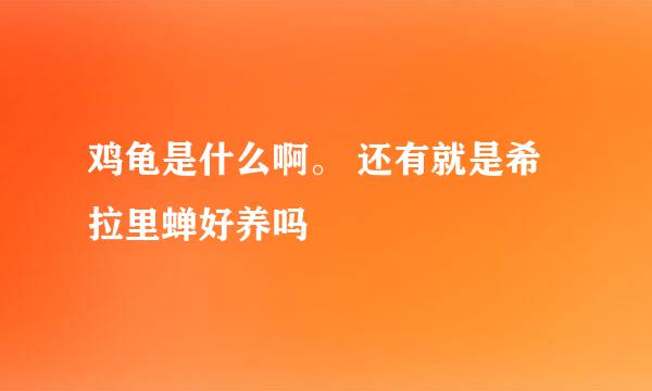 鸡龟是什么啊。 还有就是希拉里蝉好养吗