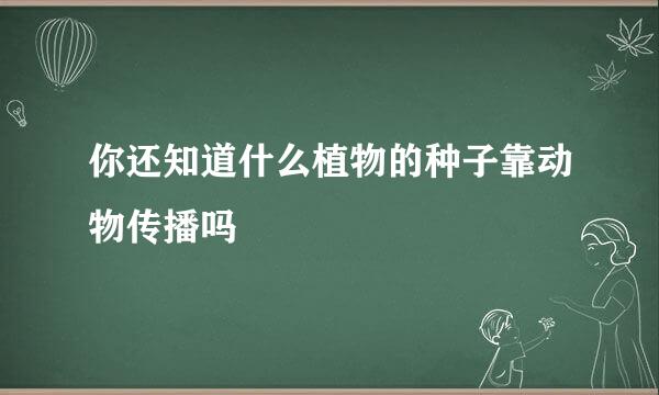 你还知道什么植物的种子靠动物传播吗