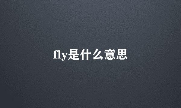 fly是什么意思