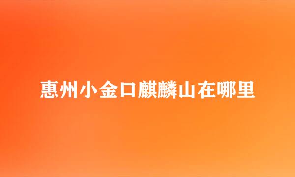 惠州小金口麒麟山在哪里