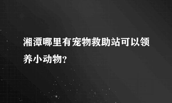 湘潭哪里有宠物救助站可以领养小动物？