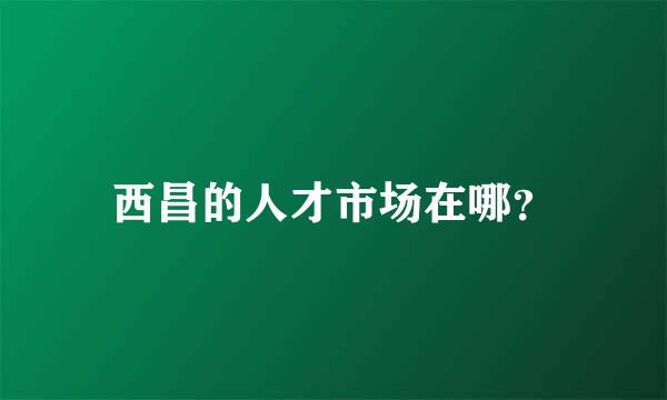 西昌的人才市场在哪？