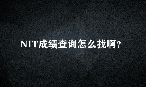 NIT成绩查询怎么找啊？