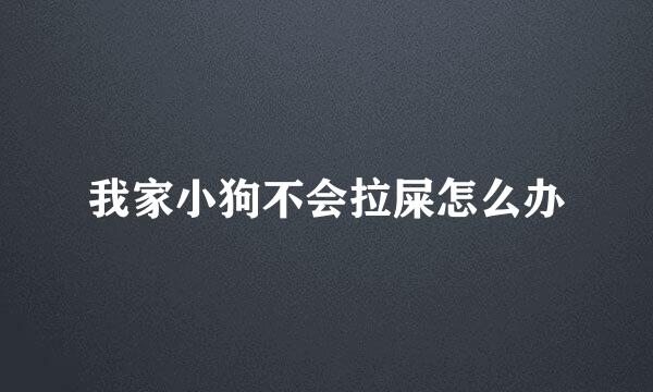 我家小狗不会拉屎怎么办