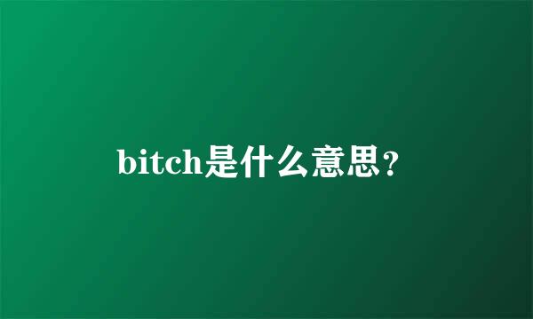 bitch是什么意思？