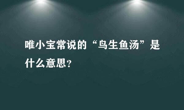 唯小宝常说的“鸟生鱼汤”是什么意思？