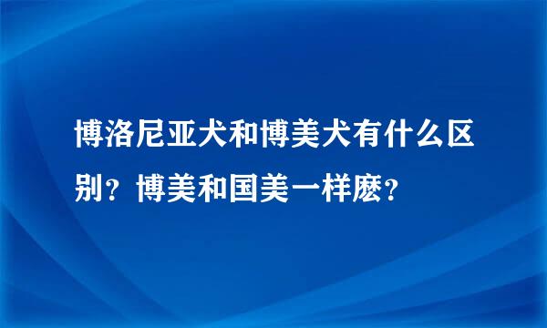 博洛尼亚犬和博美犬有什么区别？博美和国美一样麽？