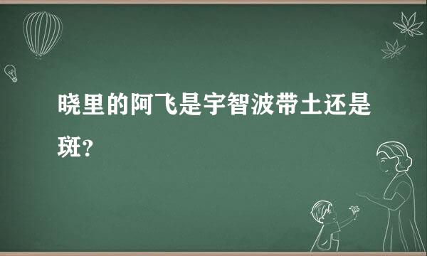 晓里的阿飞是宇智波带土还是斑？