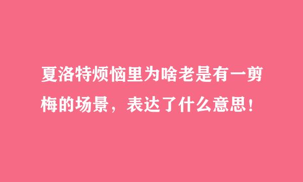 夏洛特烦恼里为啥老是有一剪梅的场景，表达了什么意思！