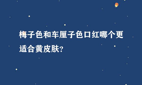 梅子色和车厘子色口红哪个更适合黄皮肤？