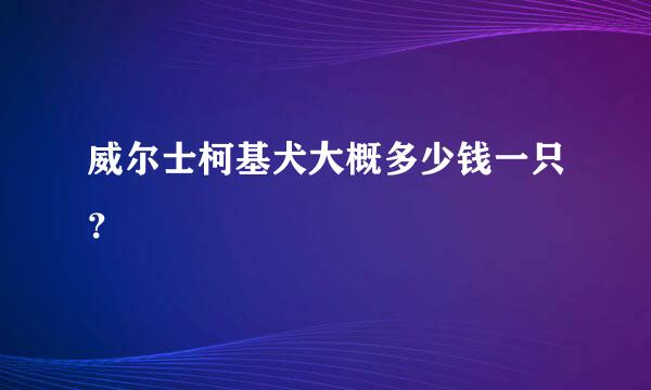 威尔士柯基犬大概多少钱一只？