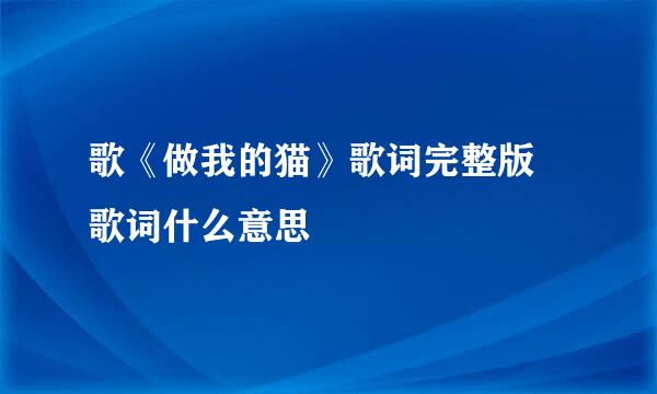 歌《做我的猫》歌词完整版 歌词什么意思