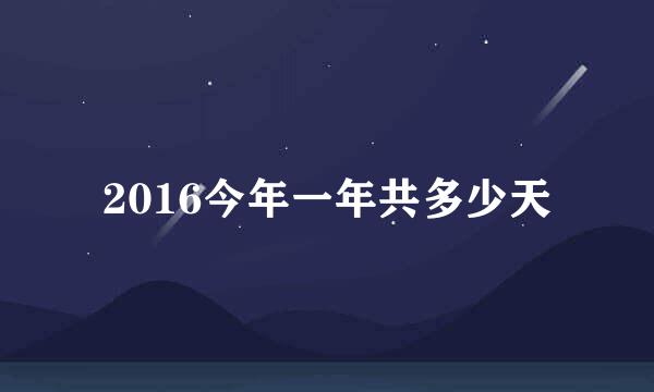 2016今年一年共多少天